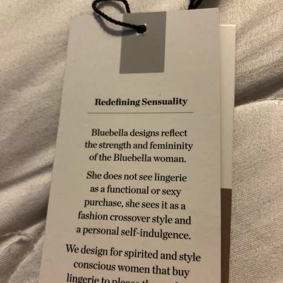 NWT Bluebella Sheer Lace/Net Thong Panty - Picture 6 of 8